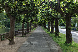 Bernhard Saalfeld - M�rz